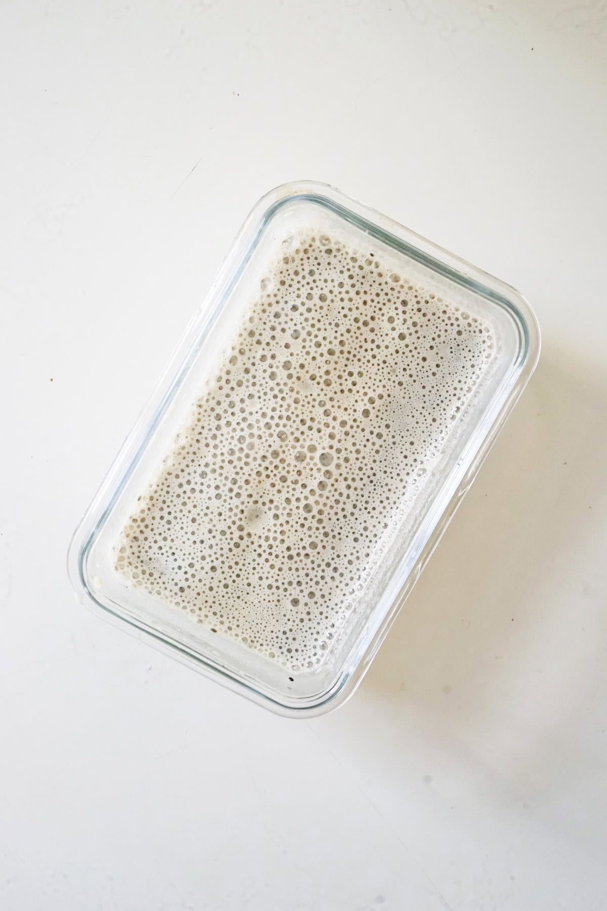 vanilla chia pudding unsweetened