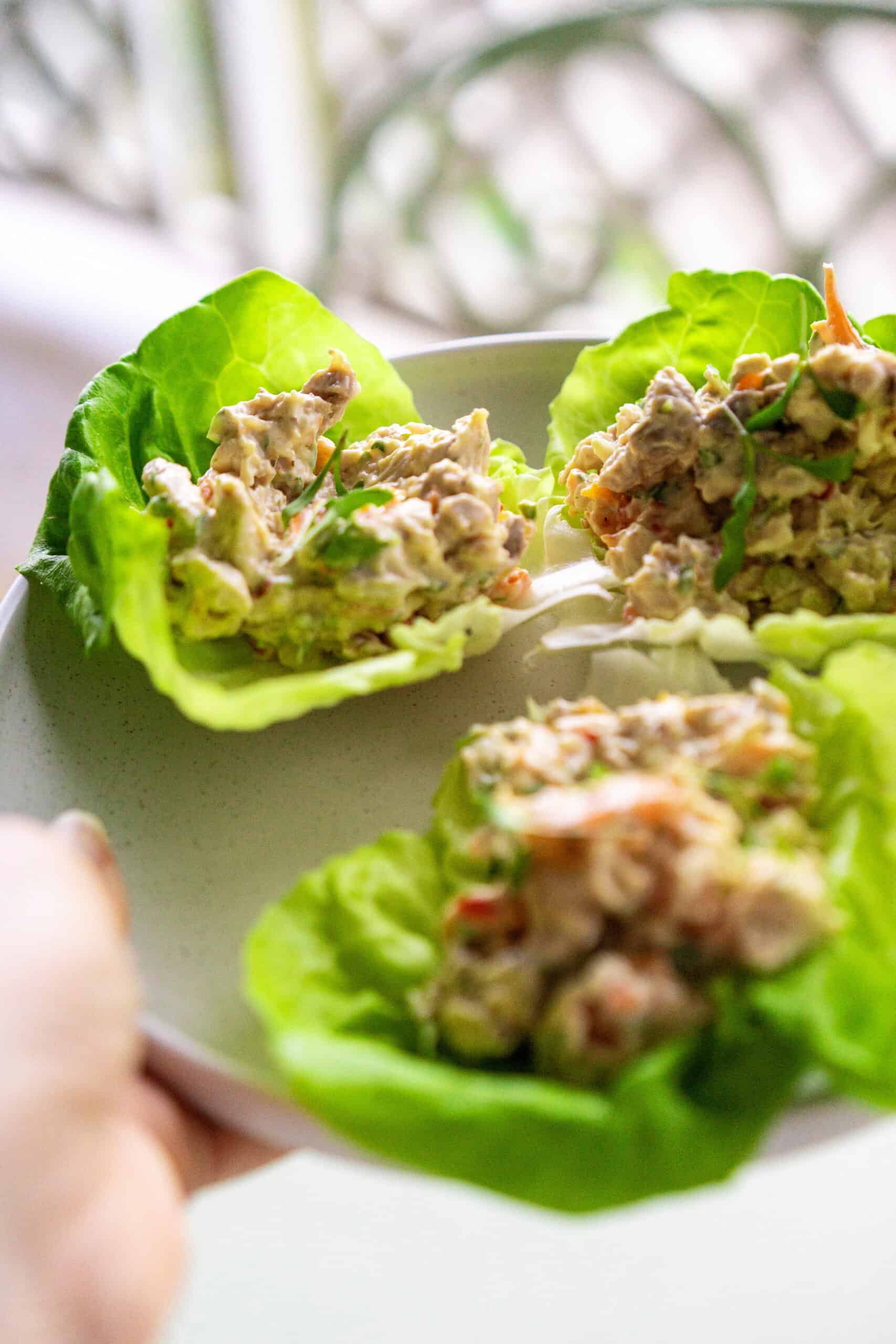 holding chicken salad high protein