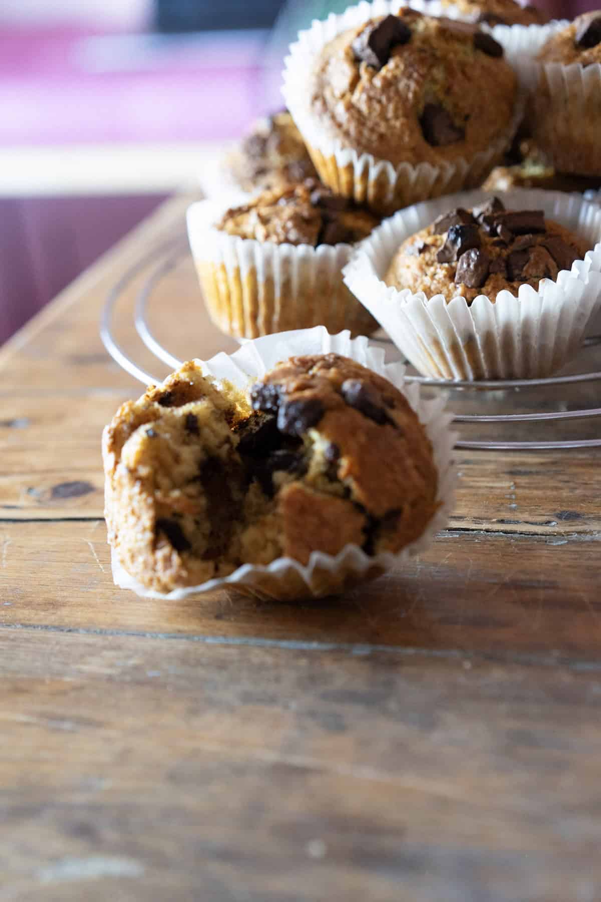 chocolate chip sourdough muffins