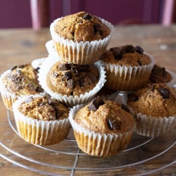 chocolate chip sourdough muffins