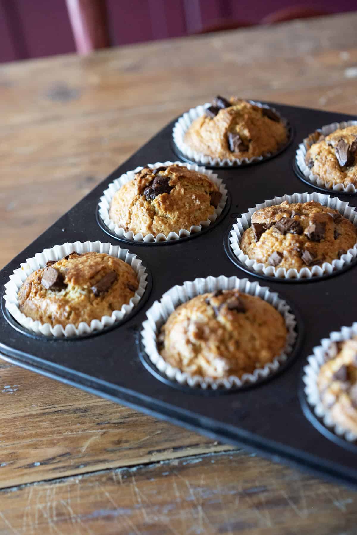 chocolate chip sourdough muffins