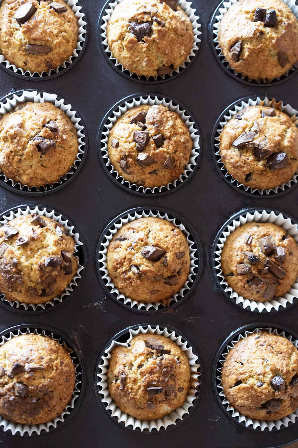 chocolate chip sourdough muffins