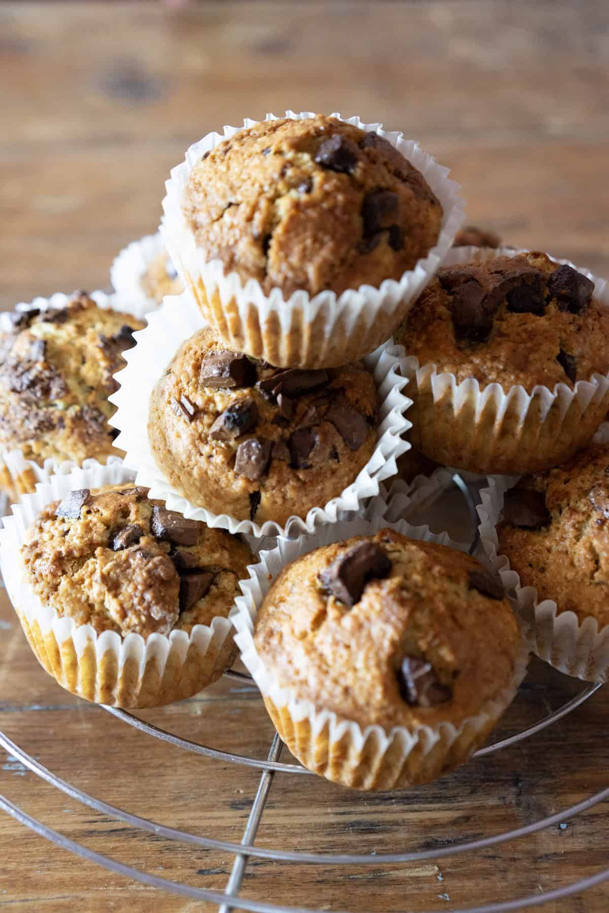 chocolate chip sourdough muffins